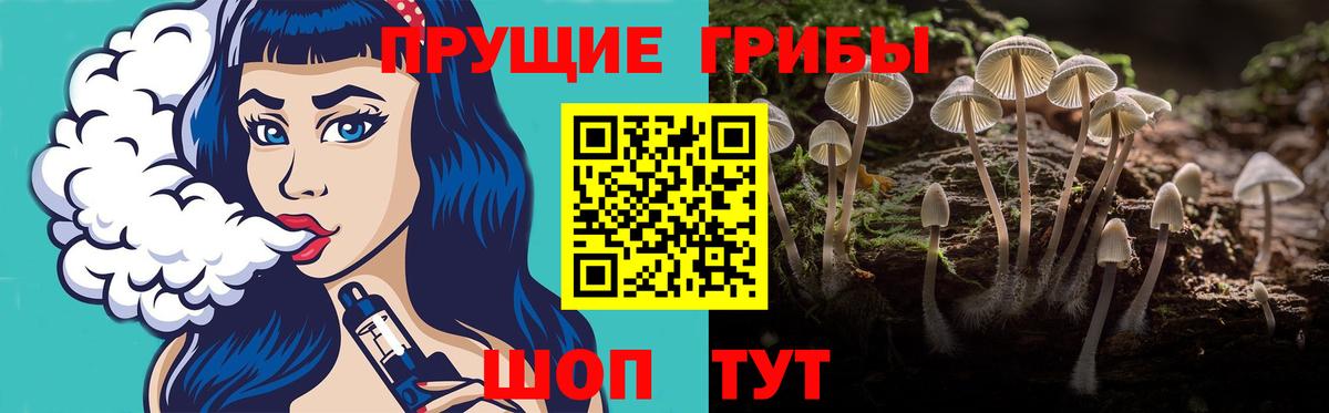 Галлюциногенные грибы прущие грибы  Вход с VPN  Люберцы 